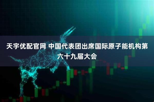 天宇优配官网 中国代表团出席国际原子能机构第六十九届大会