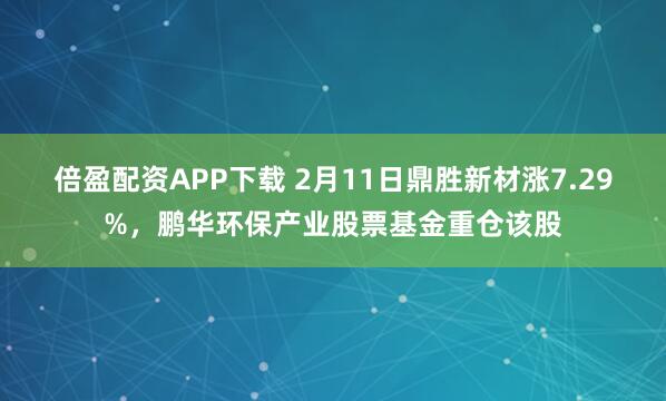 倍盈配资APP下载 2月11日鼎胜新材涨7.29%，鹏华环保产业股票基金重仓该股