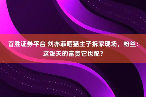 首胜证券平台 刘亦菲晒猫主子拆家现场，粉丝：这泼天的富贵它也配？
