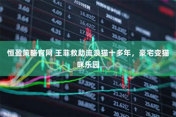 恒盈策略官网 王菲救助流浪猫十多年，豪宅变猫咪乐园