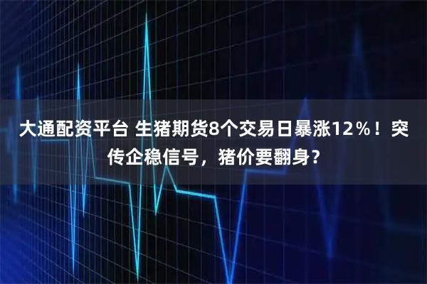 大通配资平台 生猪期货8个交易日暴涨12％！突传企稳信号，猪价要翻身？